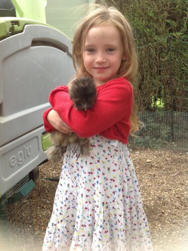 Lily & pat the silkie