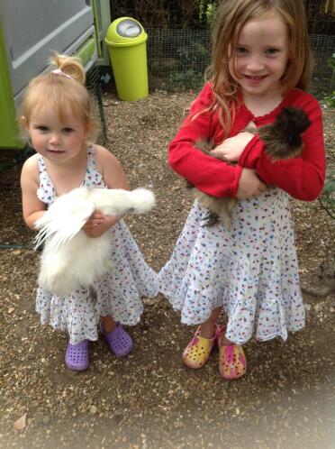 My daughters & their silkies