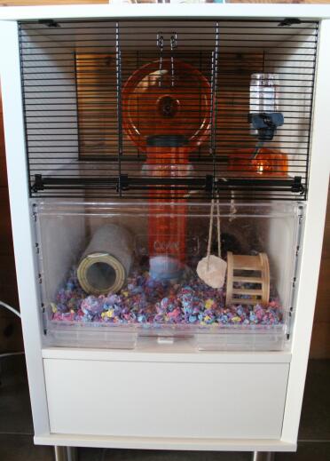 Hamsters love living in the qute!