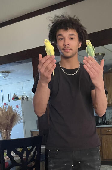 My son holding two of our budgies. we have 7 spoiled budgie babies. 