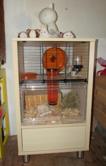 Omlet Birch Qute Gerbil Cage with Storage