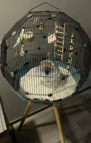 Received my Geo BirdCage! So beautiful! It was easy to setup and very innovative. My guest will be very fascinated with the cage! It is so much more spacious for my budgies! ????????????????