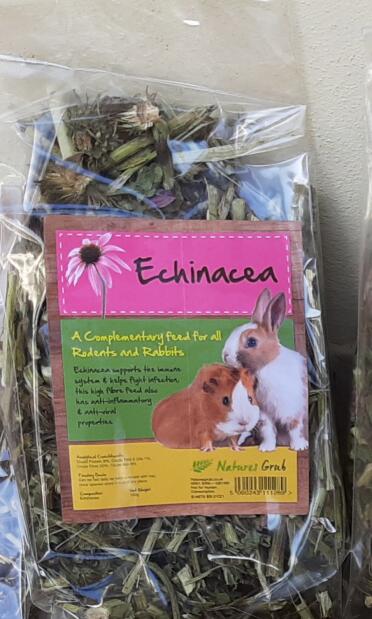 Tasty echinacea 