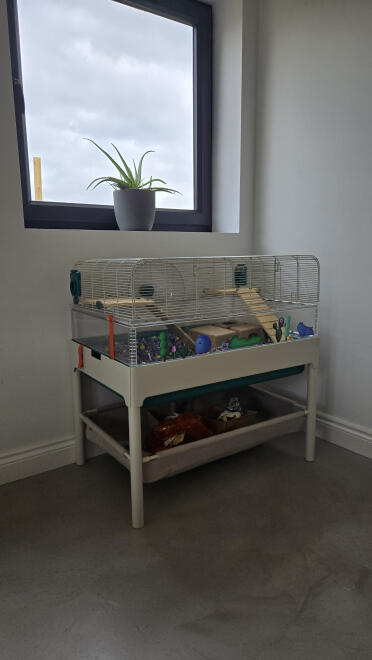 The storage basket is so handy to keep all of our hamster accessories!