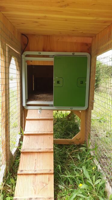 Automatic door installed on a wooden coop