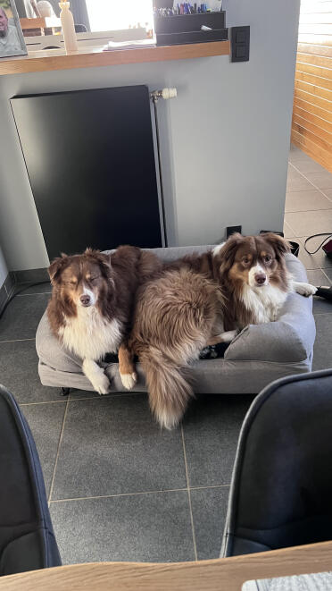 Cosy together on a bunk bed