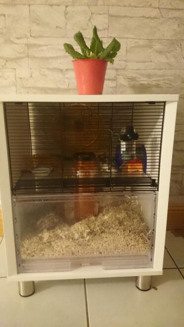 Omlet White Qute Hamster Cage