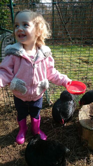 Kids love chickens