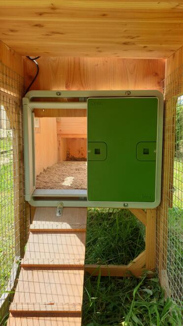 Omlet Green Automatic Chicken Coop Door attached to Wooden Chicken Coop