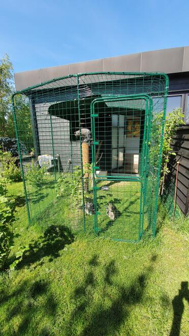 A secure way for your cat to play in your garden