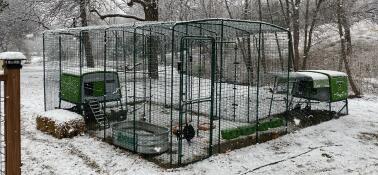 A large run connected to two coops in snow