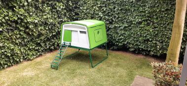 A green coop in the corner of a garden