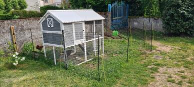 The Omlet chicken fencing surrounding a wooden chicken coop.