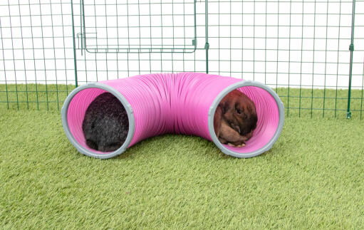 omlet play tunnel