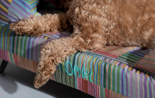 A close up of the Pawsteps Electric Bolster dog bed