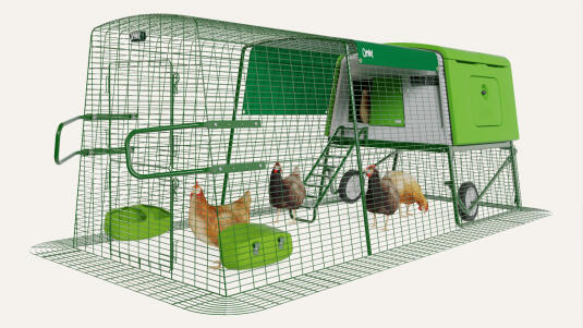 chicken coop hamster