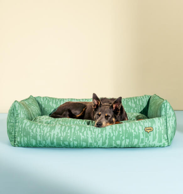 dog lying comfortably in a large soft nest dog bed