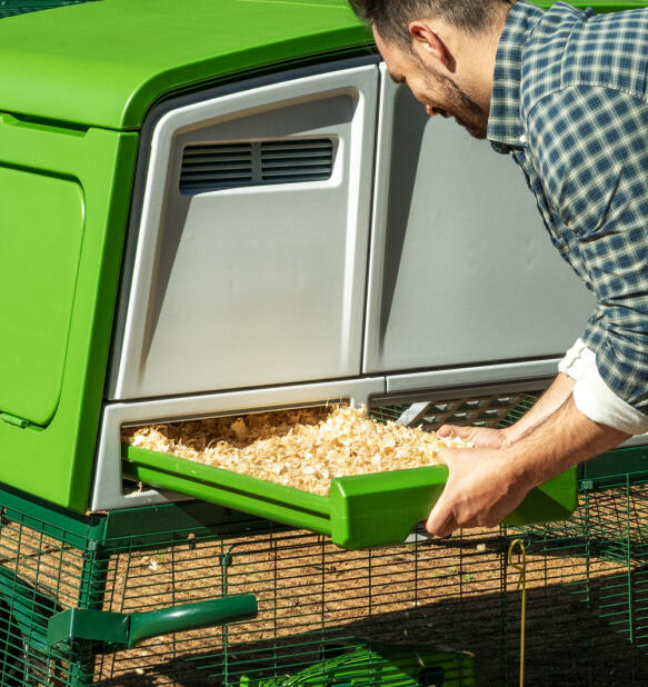 man pulling out the bedding tray on the extra large eglu pro chicken coop