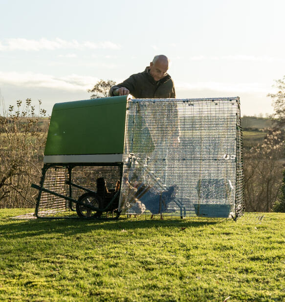 man looking over his flock in the eglu go up compact coop and run with weather protection