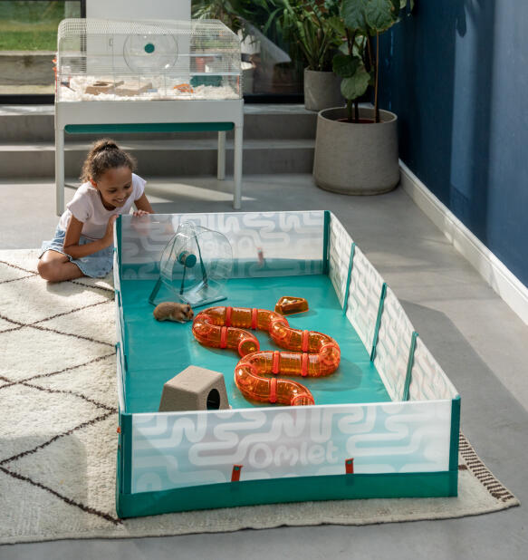 little girl watching her hamster in a pop-up playpen