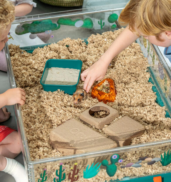 children playing with their hamster in the omlet large hamster cage