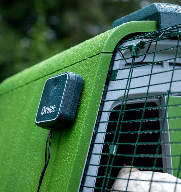 control panel mounted to the side of an eglu co up chicken coop