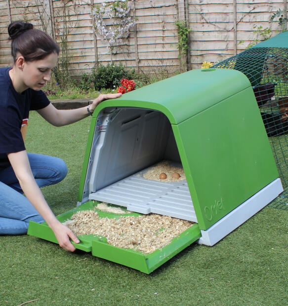 woman pulling droppings tray out or easy to clean eglu go chicken coop