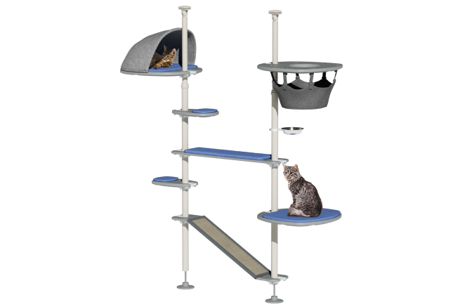 cat playing in an outdoor cat tree
