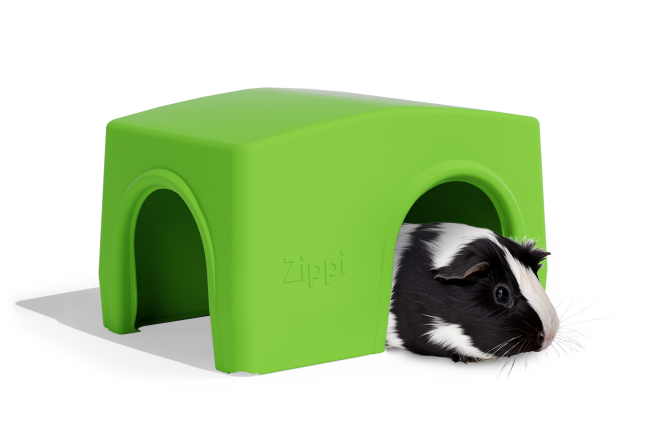 Guinea pig shelters