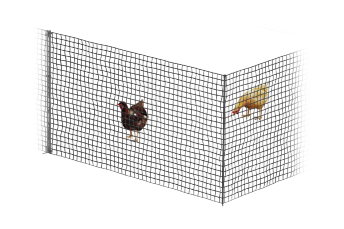 Omlet chicken fencing