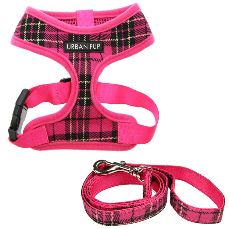 small dog harness and lead
