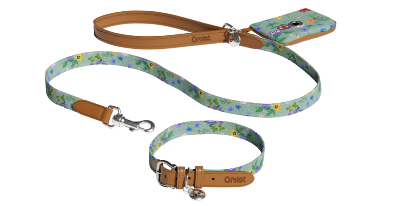 designer dog collar and leash