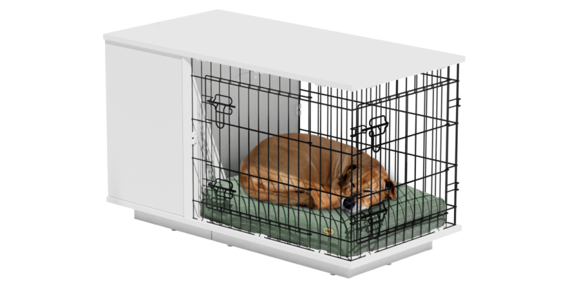 dog sleeping inside a dog crate