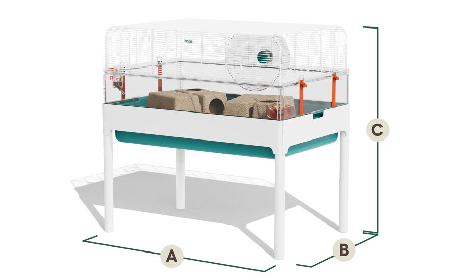 hamster habitat dimensions