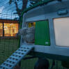 a chicken climbing into the coop using an autodoor and cooplight