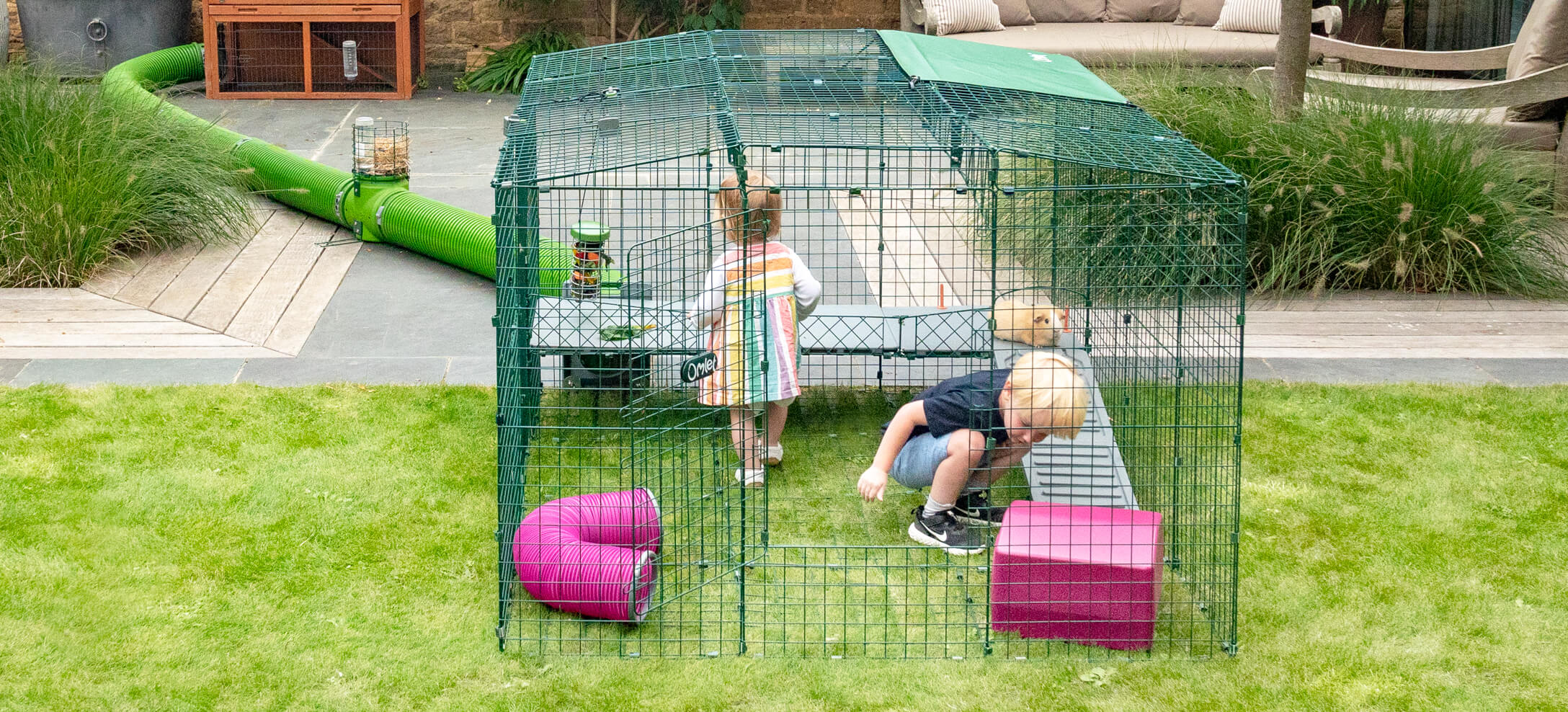 Guinea sale pig playground