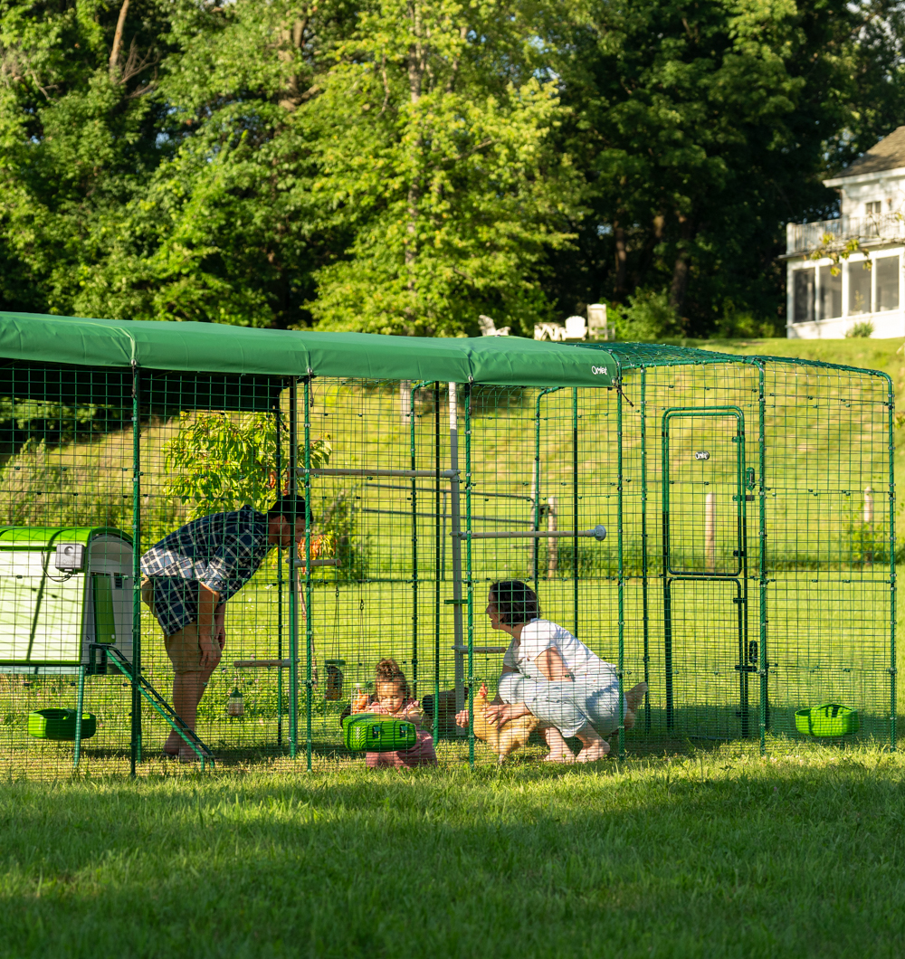 Omlet Eglu Cube in a large Walk In Chicken Run in Connecticut