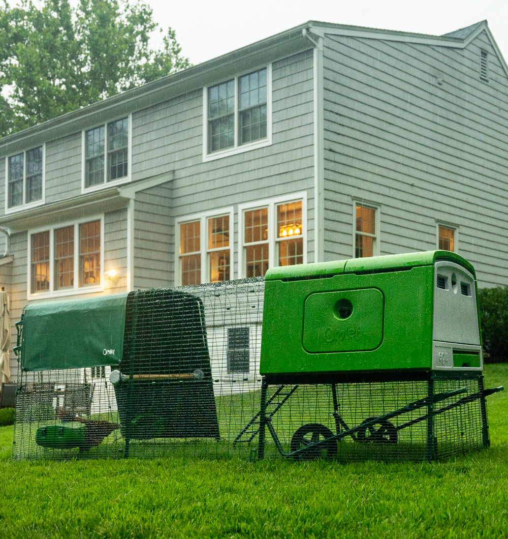 Omlet Eglu Cube in a backyard in Connecticut