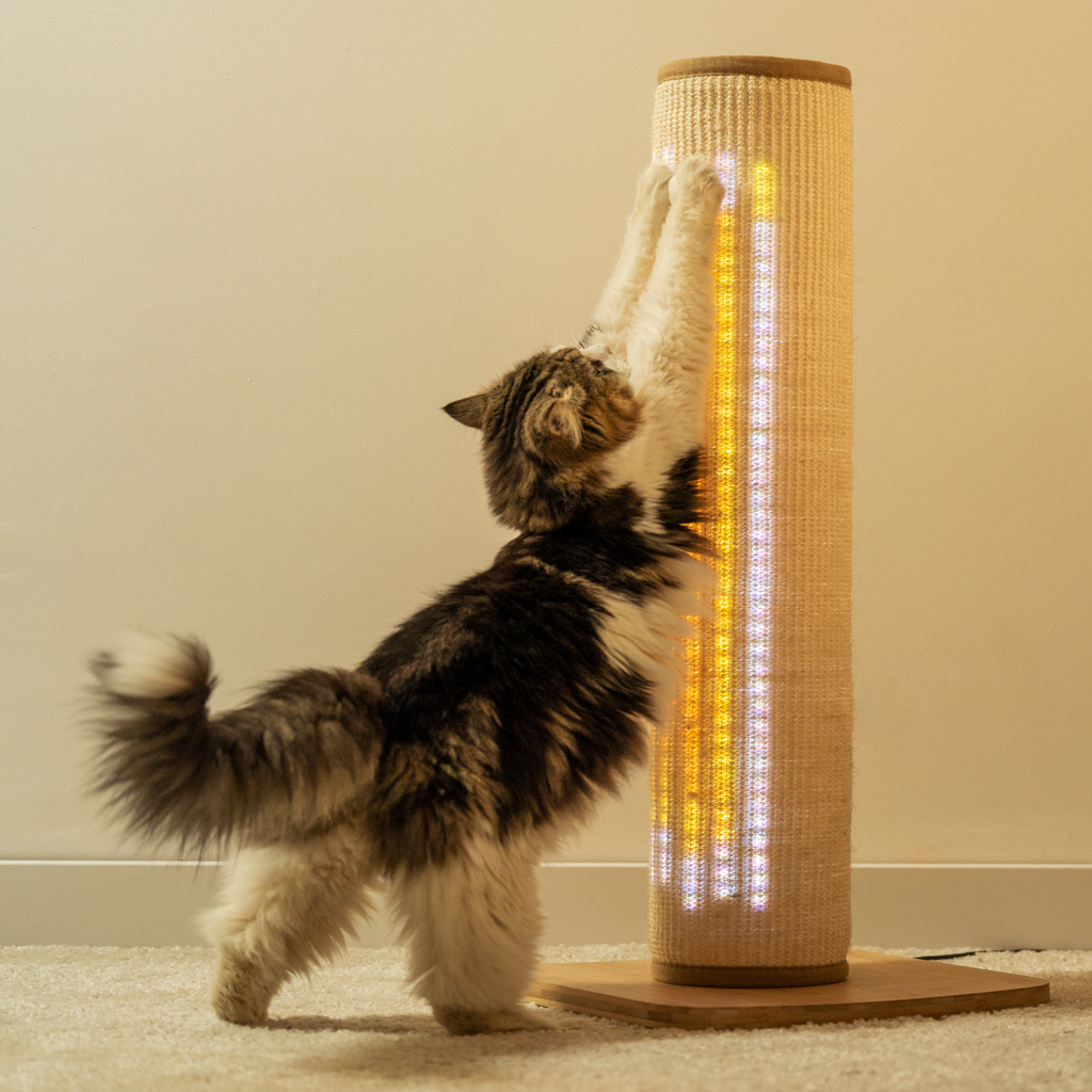 Standing cat hot sale scratcher