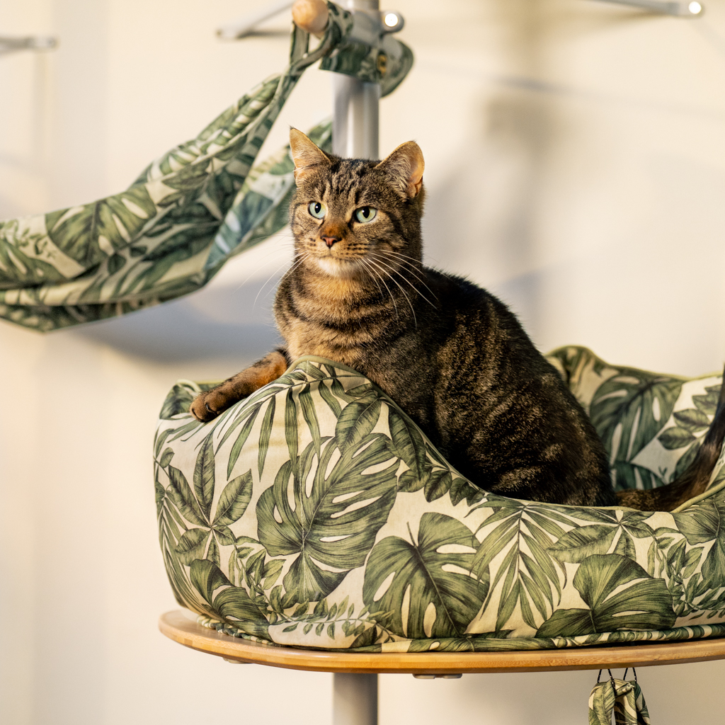 Freestyle Nest Cat Bed - Secret Garden | Omlet