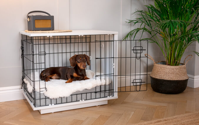 A dog inside a wooden dog crate