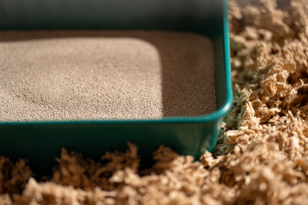 Close up of teal colour hamster sand bath inside spacious Omlet Hamster Habitat.