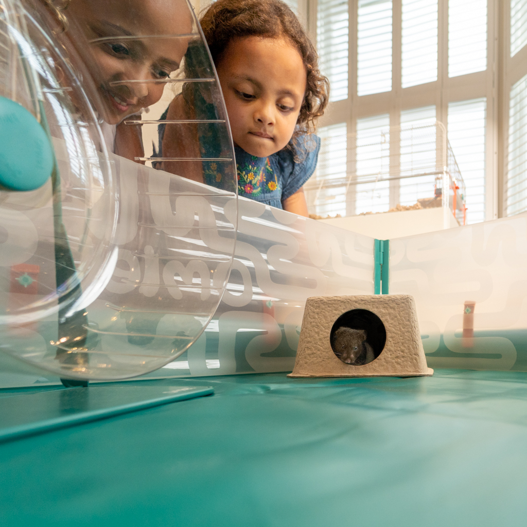 Small Hamster Playpen With Floor Omlet