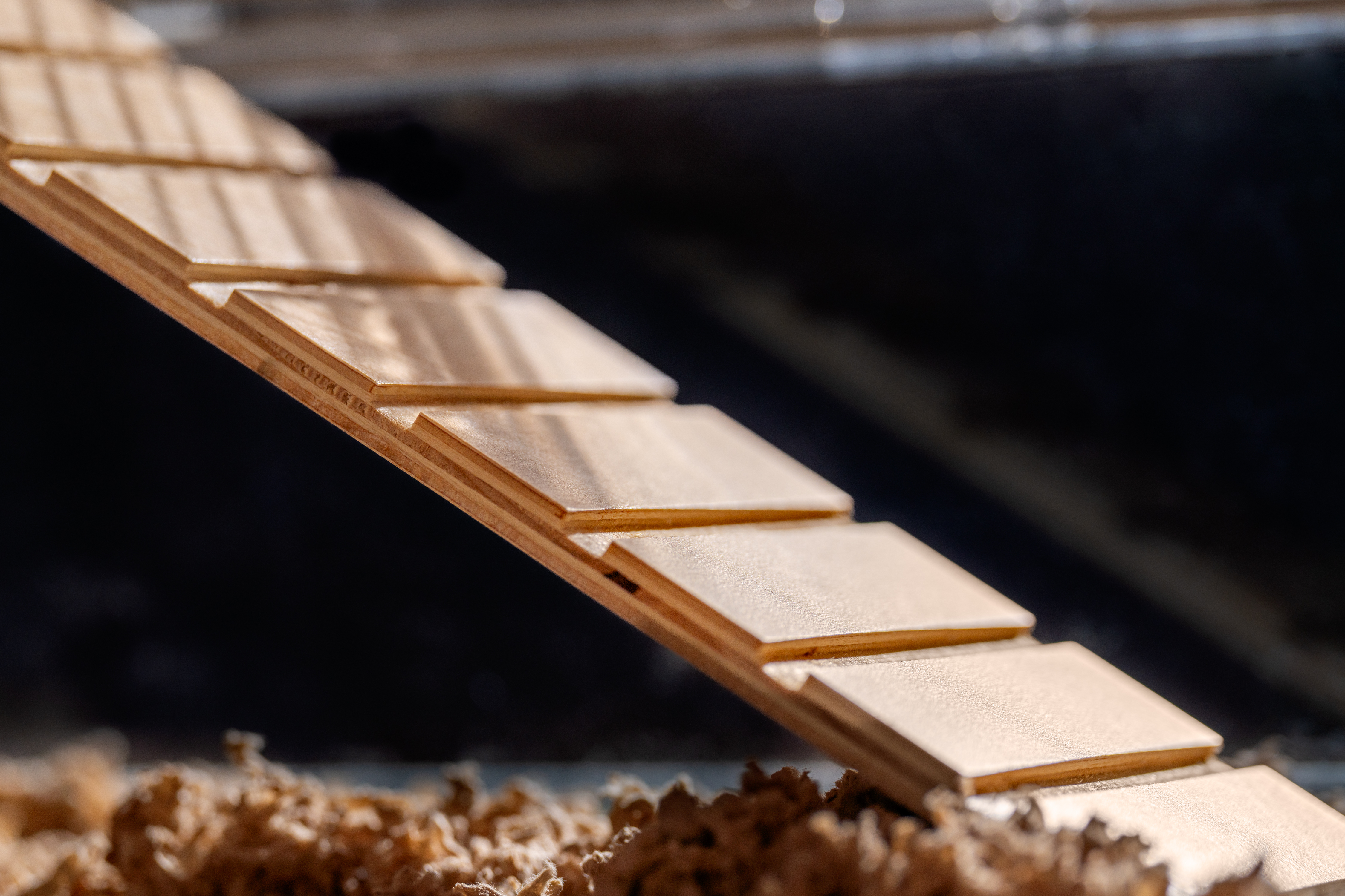 Close up of wooden climbing ramp for Omlet Hamster Habitat