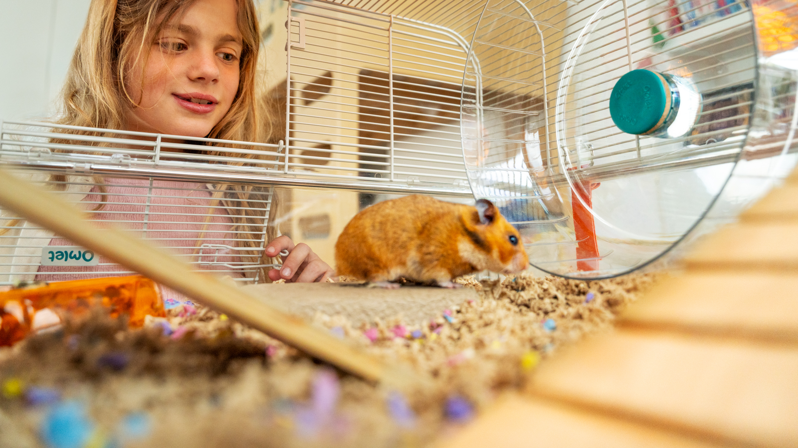 Girl peering into the Omlet Hamster Habitat