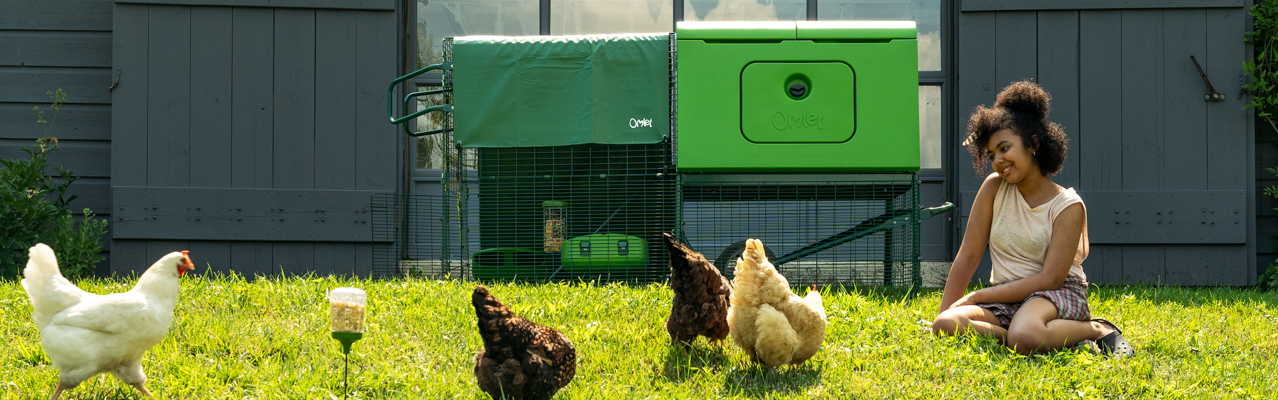 Omlt chicken coops, runs and other poultry products