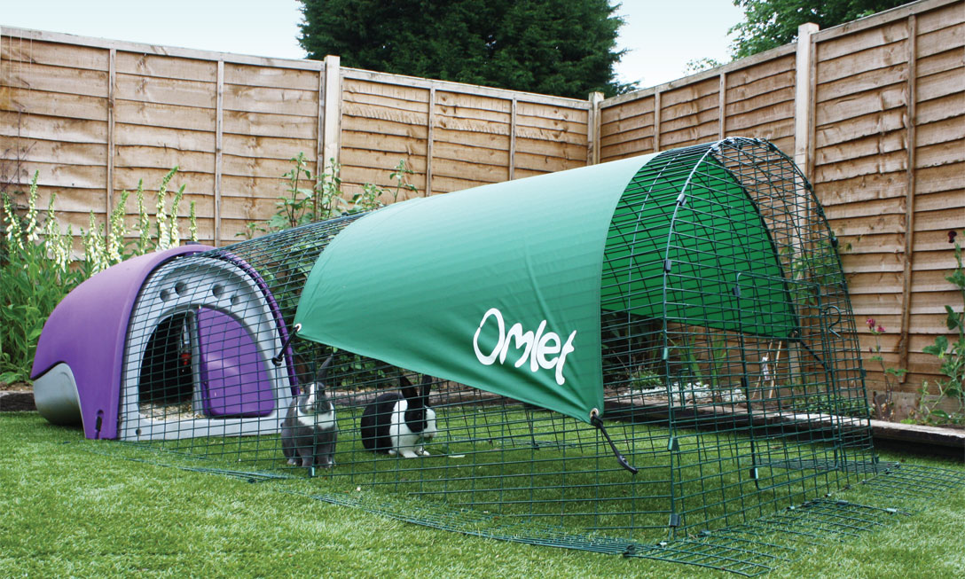 Igloo on sale rabbit hutch