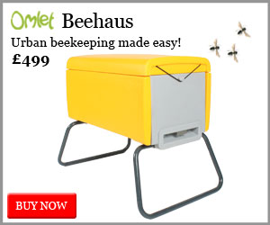 Easy urban beekeeping
