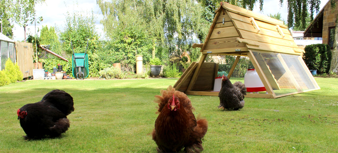 Boughton Chicken Coop