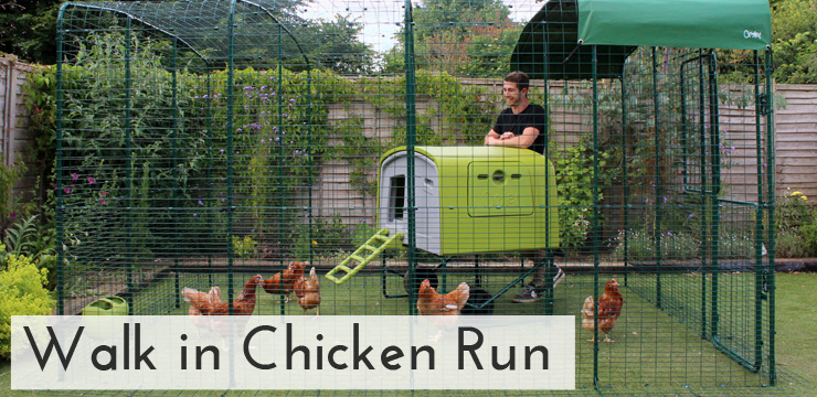 Chicken Coops | Chicken Houses | Hamster Houses | Rabbit Hutches 